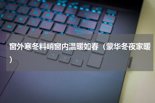 窗外寒冬料峭窗内温暖如春（蒙华冬夜家暖）