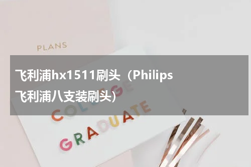 飞利浦hx1511刷头（Philips飞利浦八支装刷头）