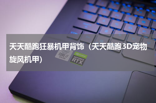 天天酷跑狂暴机甲背饰（天天酷跑3D宠物旋风机甲）