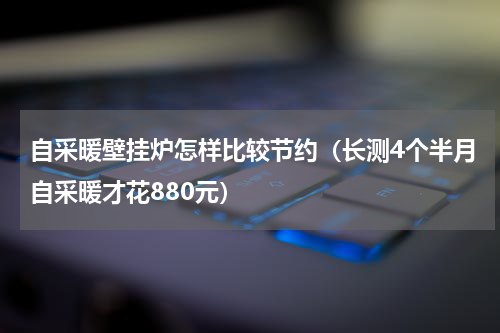 自采暖壁挂炉怎样比较节约（长测4个半月自采暖才花880元）