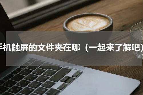 手机触屏的文件夹在哪（一起来了解吧）