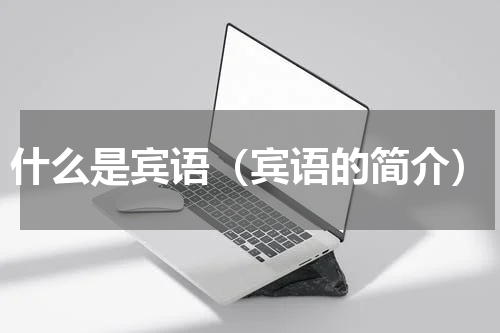 什么是宾语（宾语的简介）