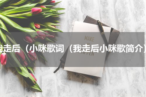 我走后（小咪歌词（我走后小咪歌简介）