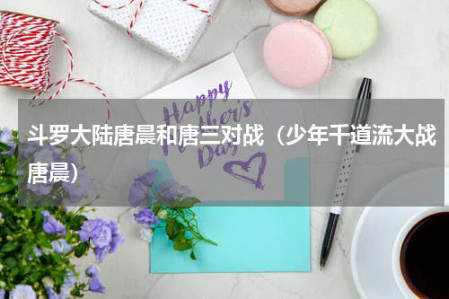斗罗大陆唐晨和唐三对战（少年千道流大战唐晨）