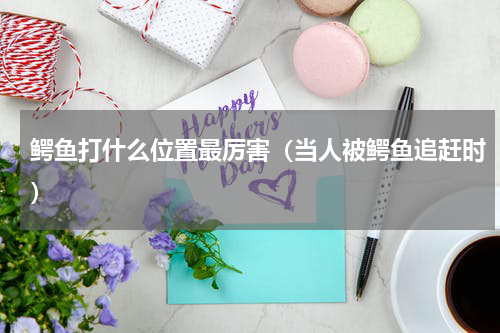 鳄鱼打什么位置最厉害（当人被鳄鱼追赶时）