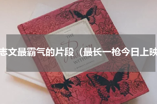 王志文最霸气的片段（最长一枪今日上映）