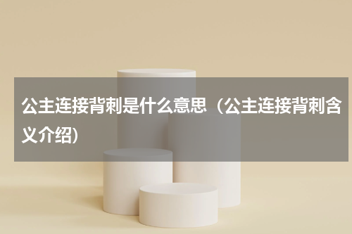 公主连接背刺是什么意思（公主连接背刺含义介绍）