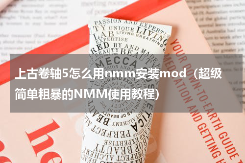 上古卷轴5怎么用nmm安装mod（超级简单粗暴的NMM使用教程）
