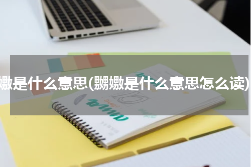 嬲嫐是什么意思(嬲嫐是什么意思怎么读)