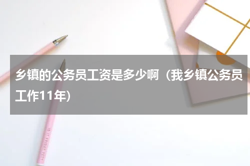 乡镇的公务员工资是多少啊（我乡镇公务员工作11年）