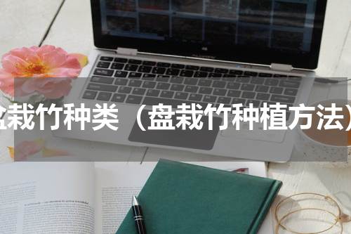 盆栽竹种类（盘栽竹种植方法）