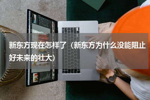新东方现在怎样了（新东方为什么没能阻止好未来的壮大）