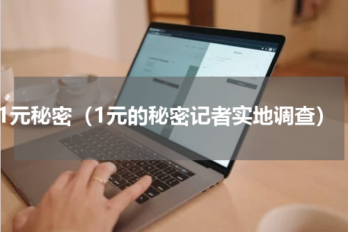 1元秘密（1元的秘密记者实地调查）