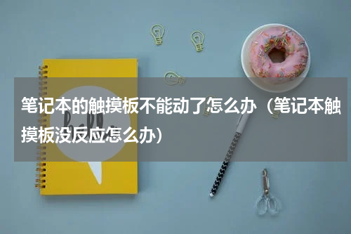 笔记本的触摸板不能动了怎么办（笔记本触摸板没反应怎么办）