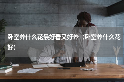 卧室养什么花最好看又好养（卧室养什么花好）