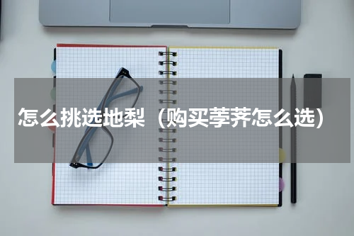 怎么挑选地梨（购买荸荠怎么选）