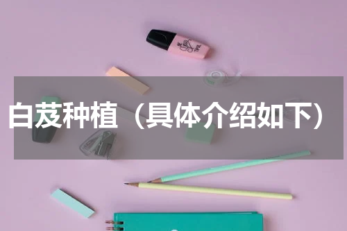 白芨种植（具体介绍如下）