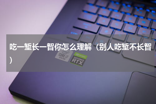 吃一堑长一智你怎么理解（别人吃堑不长智）