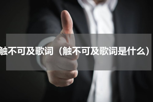 触不可及歌词（触不可及歌词是什么）