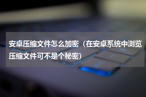 安卓压缩文件怎么加密（在安卓系统中浏览压缩文件可不是个秘密）