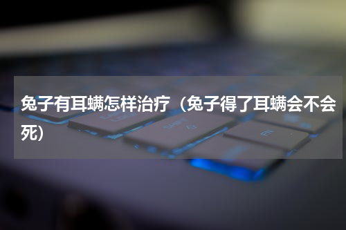 兔子有耳螨怎样治疗（兔子得了耳螨会不会死）
