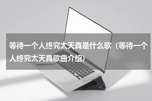 等待一个人终究太天真是什么歌（等待一个人终究太天真歌曲介绍）