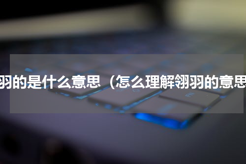 翎羽的是什么意思（怎么理解翎羽的意思）