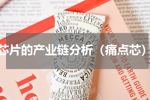 芯片的产业链分析（痛点芯）