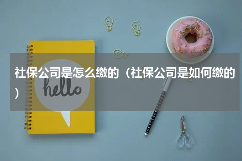 社保公司是怎么缴的（社保公司是如何缴的）