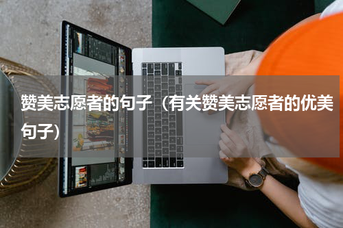 赞美志愿者的句子（有关赞美志愿者的优美句子）