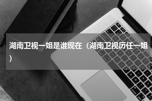 湖南卫视一姐是谁现在（湖南卫视历任一姐）