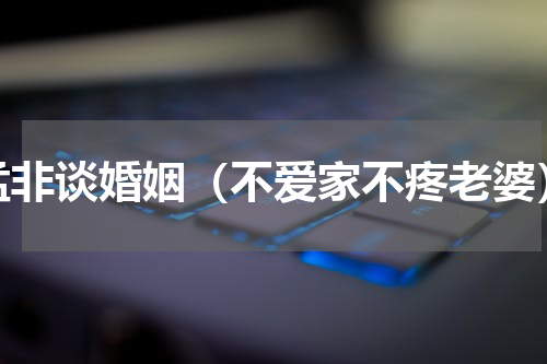 孟非谈婚姻（不爱家不疼老婆）