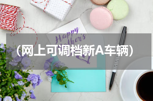 （网上可调档新A车辆）