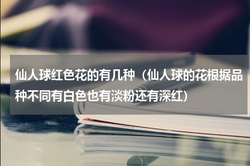 仙人球红色花的有几种（仙人球的花根据品种不同有白色也有淡粉还有深红）