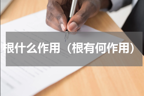 根什么作用（根有何作用）