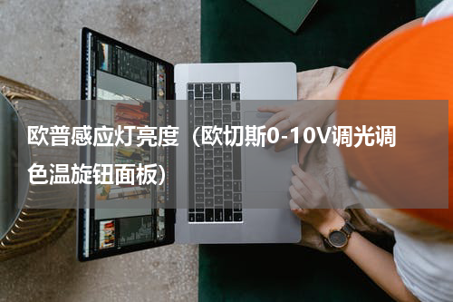 欧普感应灯亮度（欧切斯0-10V调光调色温旋钮面板）