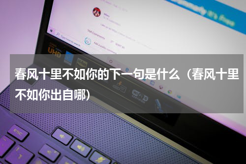 春风十里不如你的下一句是什么（春风十里不如你出自哪）