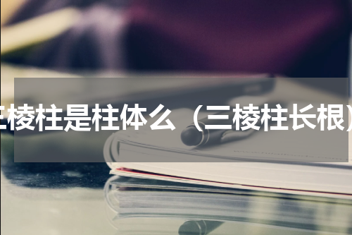 三棱柱是柱体么（三棱柱长根）
