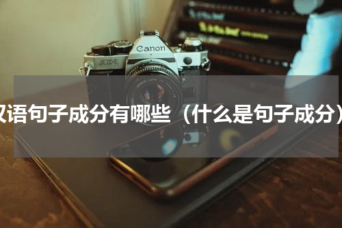 汉语句子成分有哪些（什么是句子成分）