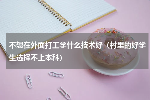 不想在外面打工学什么技术好（村里的好学生选择不上本科）