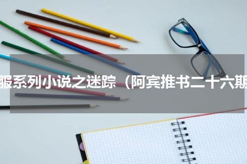 征服系列小说之迷踪（阿宾推书二十六期）
