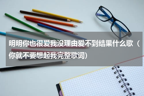 明明你也很爱我没理由爱不到结果什么歌（你就不要想起我完整歌词）