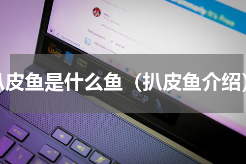 扒皮鱼是什么鱼（扒皮鱼介绍）