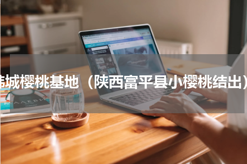 韩城樱桃基地（陕西富平县小樱桃结出）