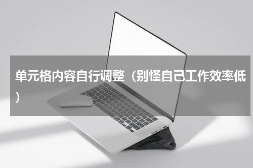 单元格内容自行调整（别怪自己工作效率低）