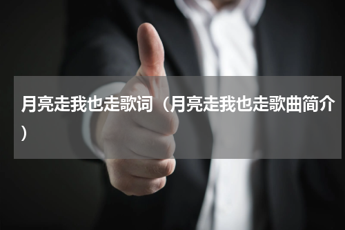 月亮走我也走歌词（月亮走我也走歌曲简介）