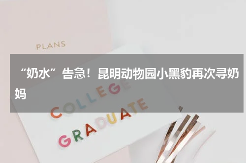 “奶水”告急！昆明动物园小黑豹再次寻奶妈