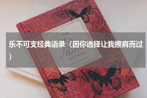 乐不可支经典语录（因你选择让我擦肩而过）
