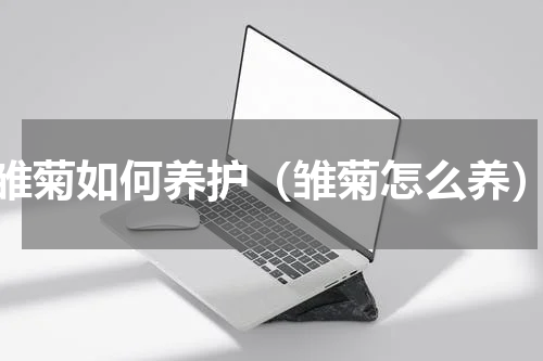 雏菊如何养护（雏菊怎么养）