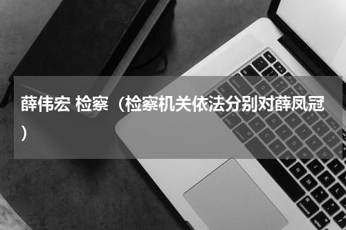 薛伟宏 检察（检察机关依法分别对薛凤冠）
